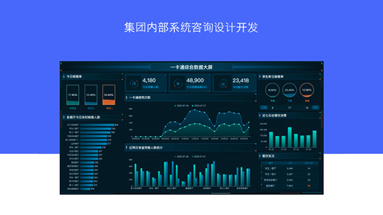 集團内部系統咨詢設計開發