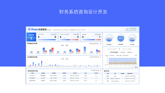 财務系統咨詢設計開發